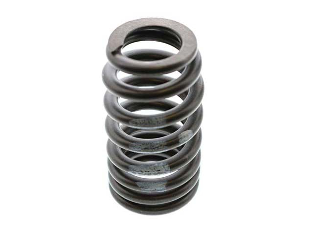 Valve Spring