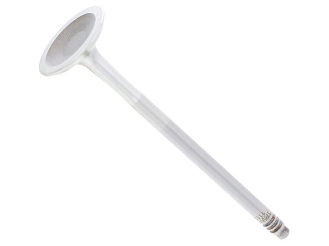 Exhaust Valve