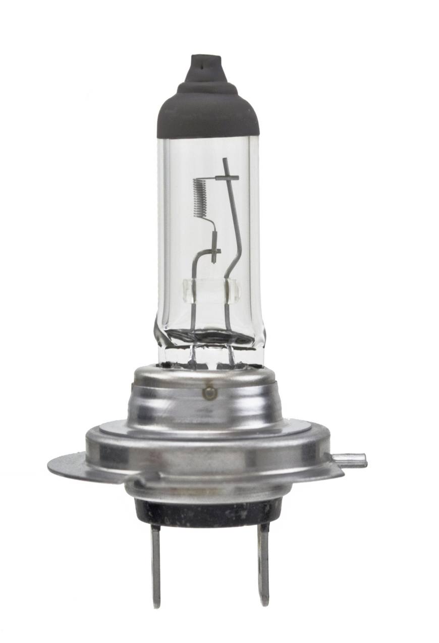 BMW Multi-Purpose Light Bulb Hella H7 100WTB