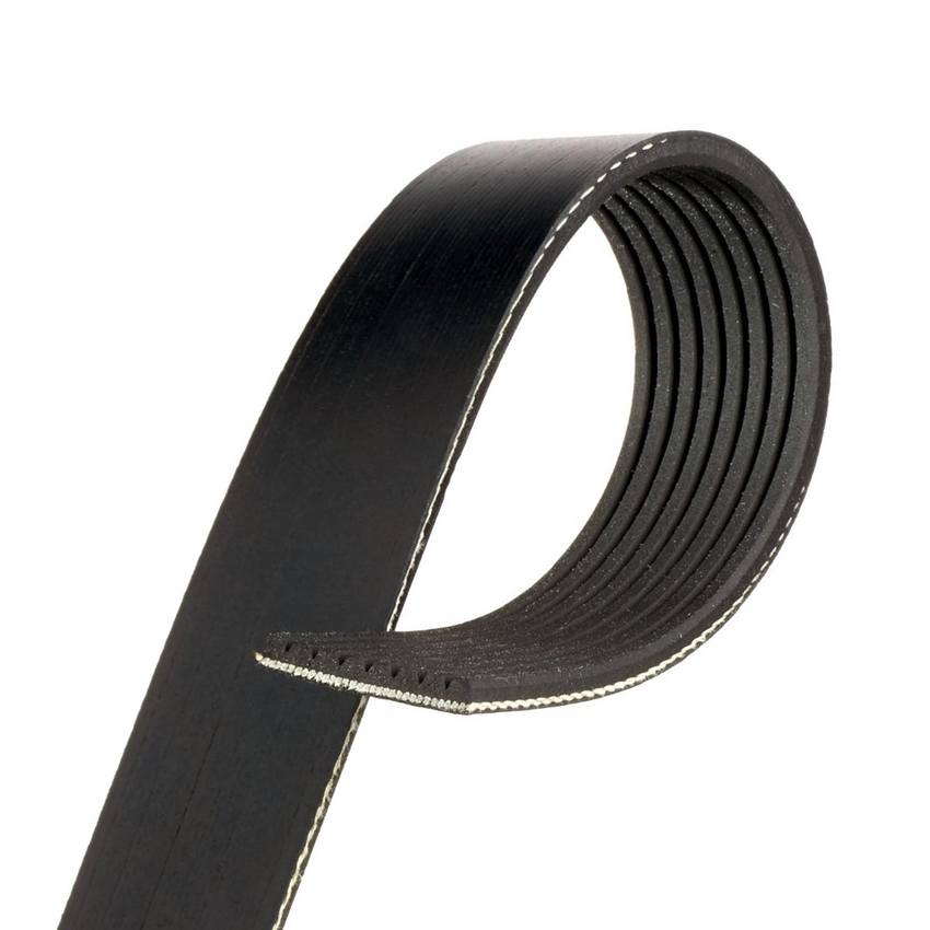 Serpentine Belt (Black)