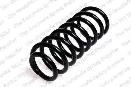 Coil Spring – Rear (Heavy Duty)