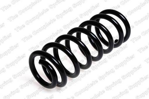 Coil Spring – Rear (Heavy Duty)