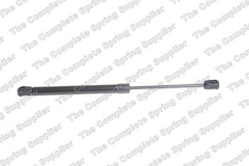 Trunk Lid Lift Support – Rear