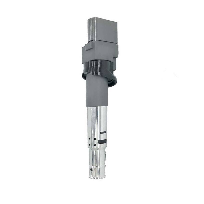 Eldor Ignition Coil - R1001S00200