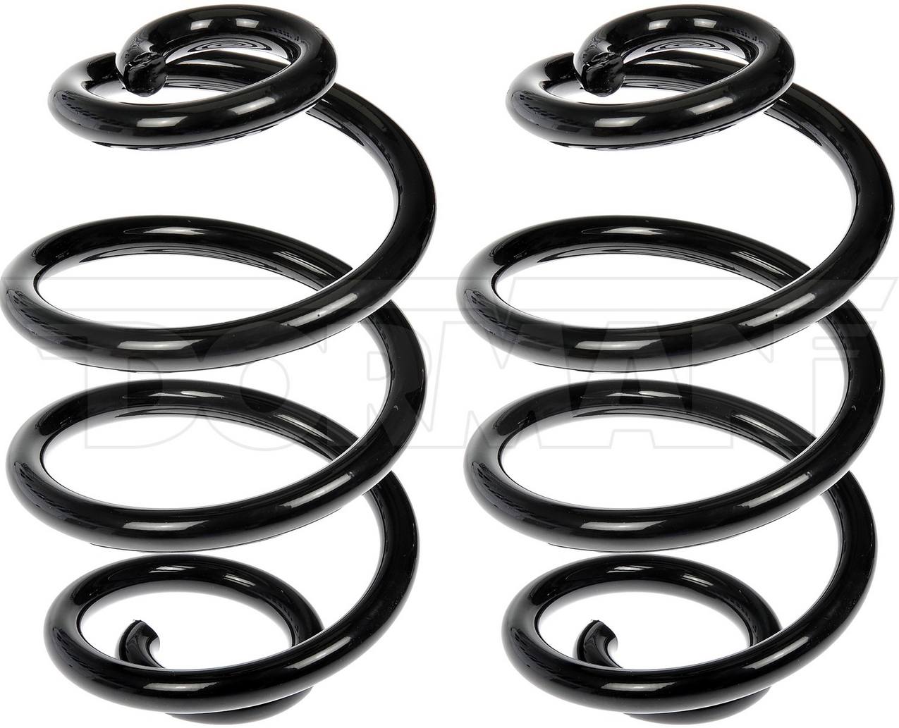 Coil Spring – Rear