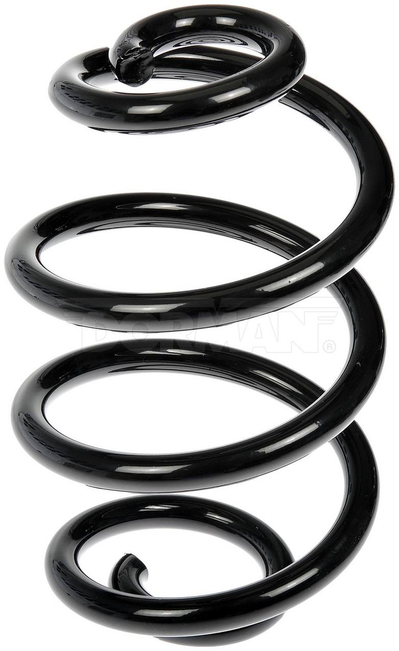 Coil Spring – Rear