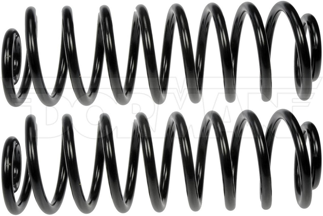 Air Spring to Coil Spring Conversion Kit – Rear