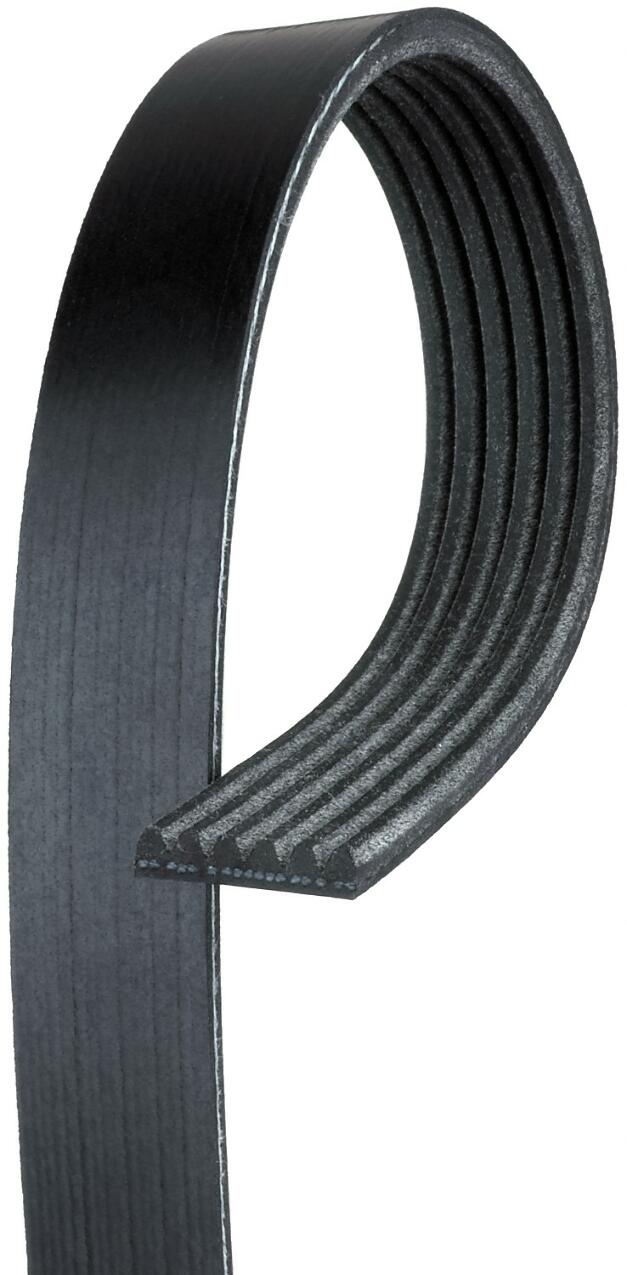 Serpentine Belt (With A/C)