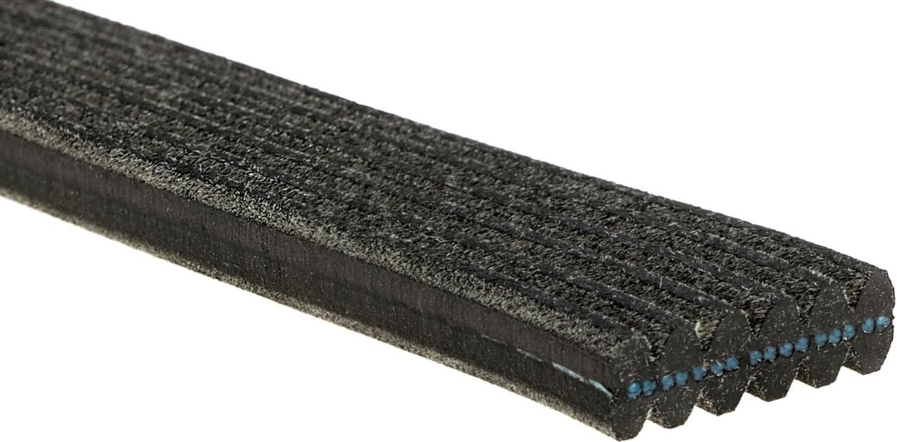 Audi VW Serpentine Belt DK060519 – Gates