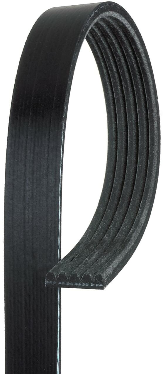 Audi VW Serpentine Belt K050418 – Gates