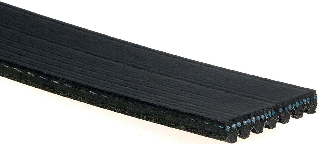 VW Serpentine Belt K070505 – Gates