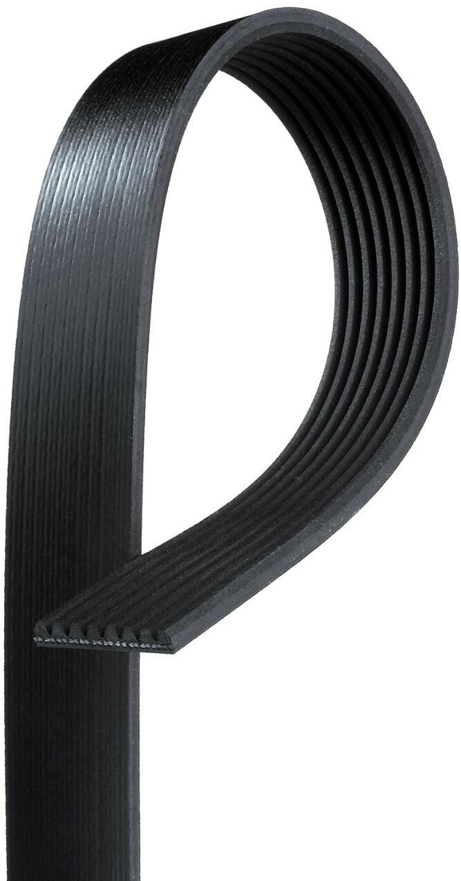 Serpentine Belt – Supercharger