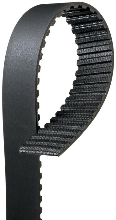 Injection Pump Belt