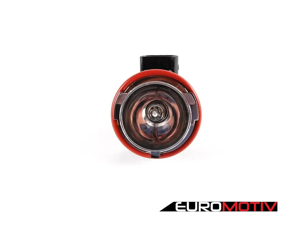 Angel Eye Bulb Socket