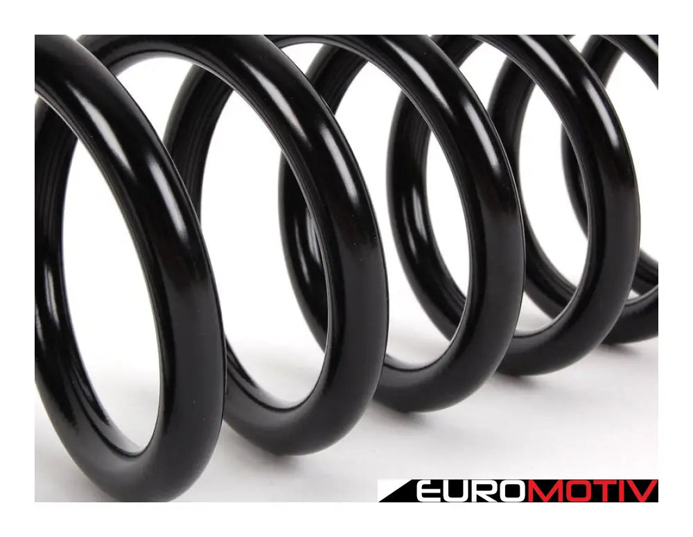 Coil Spring - Rear