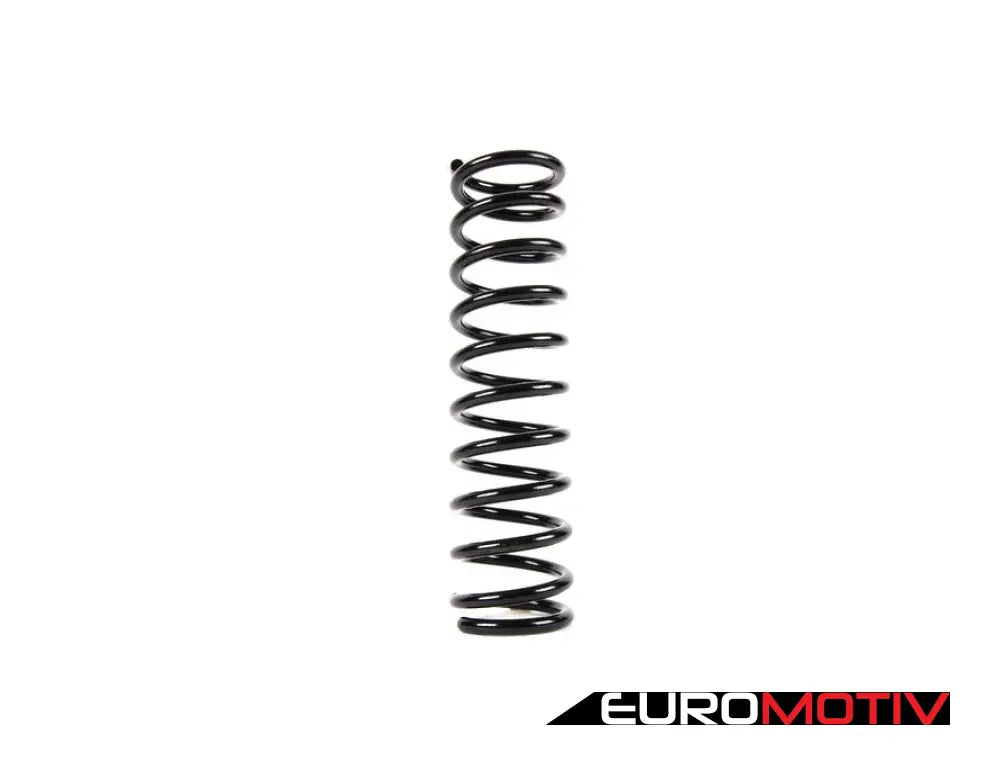 Coil Spring - Rear