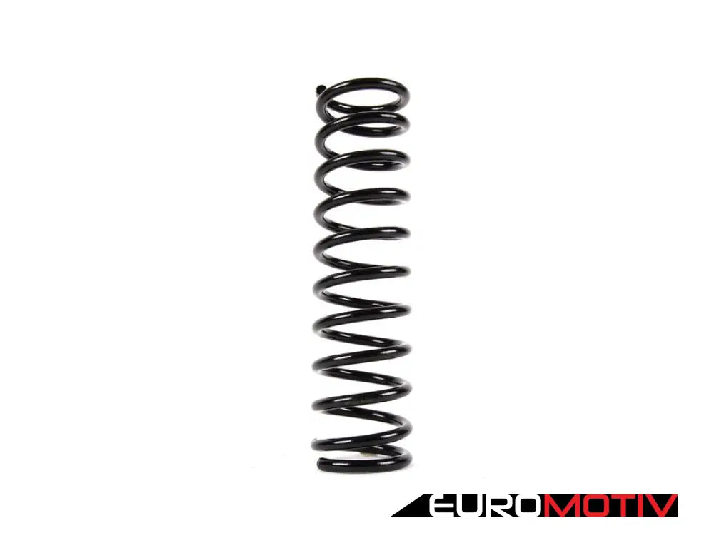 Coil Spring - Rear