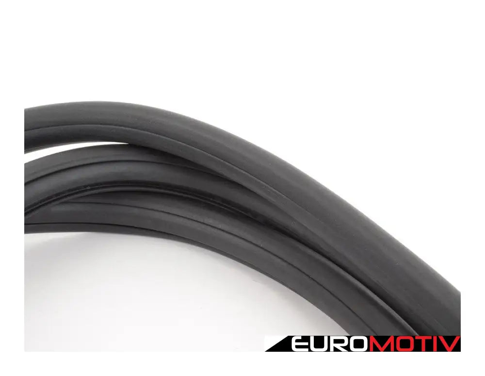 E10 Rear Window Seal