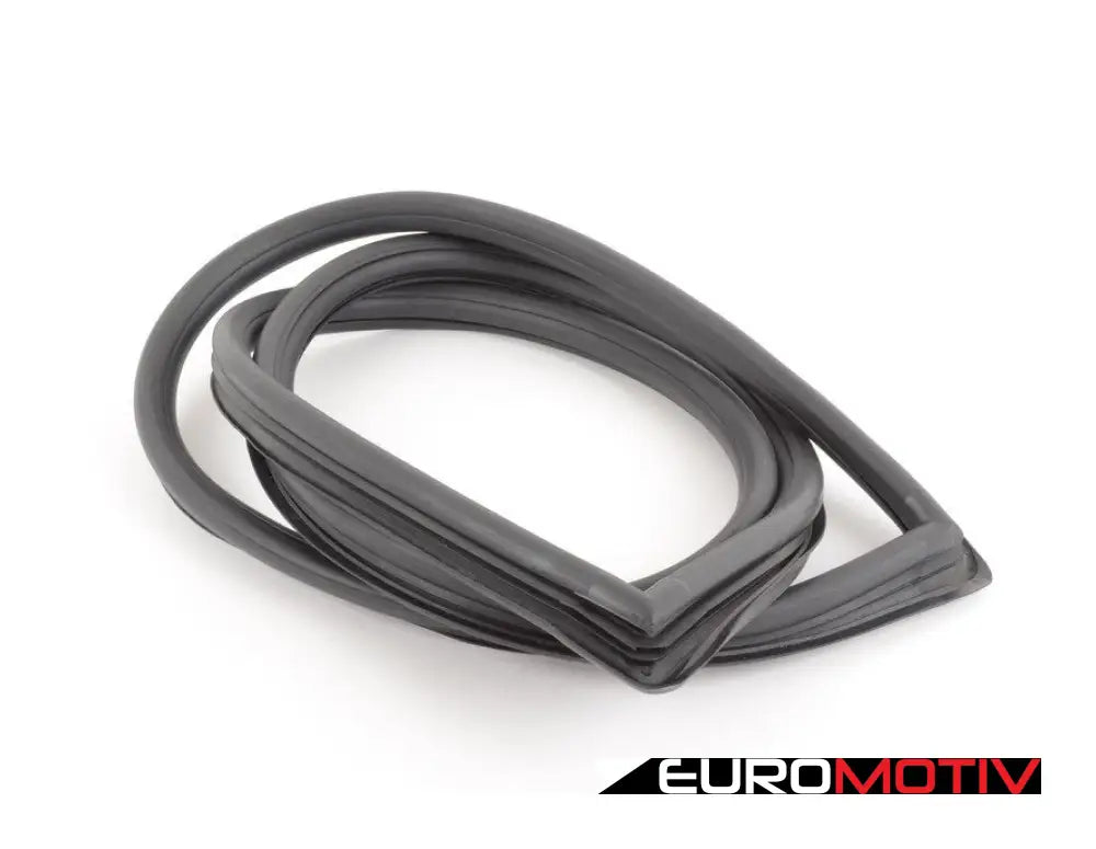 E10 Rear Window Seal