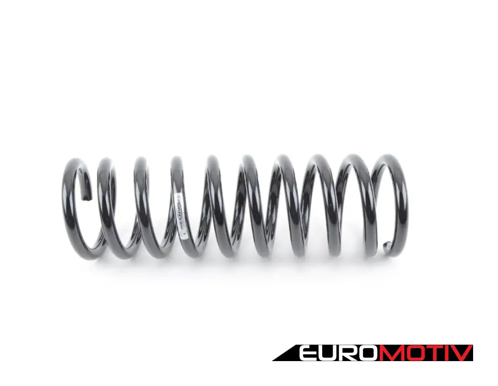 E34 Rear Spring - Priced Each