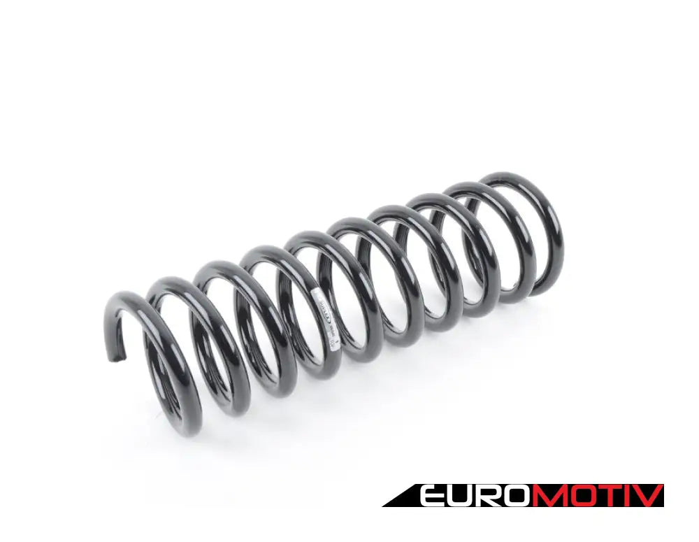 E34 Rear Spring - Priced Each