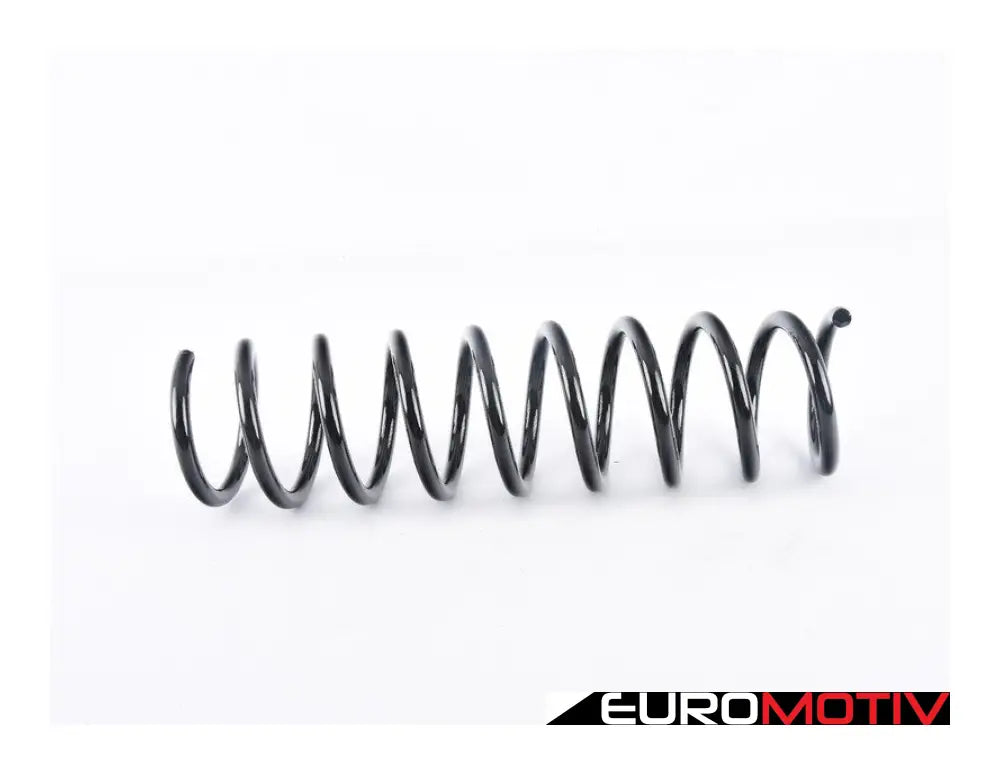 E39 Rear Coil Spring