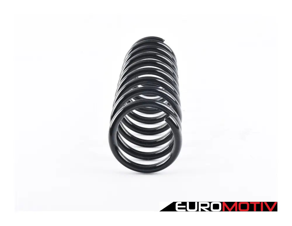 E39 Rear Coil Spring