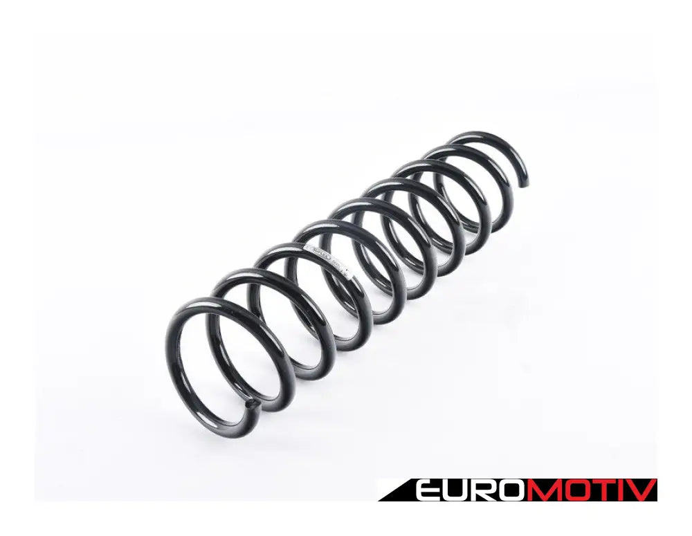 E39 Rear Coil Spring