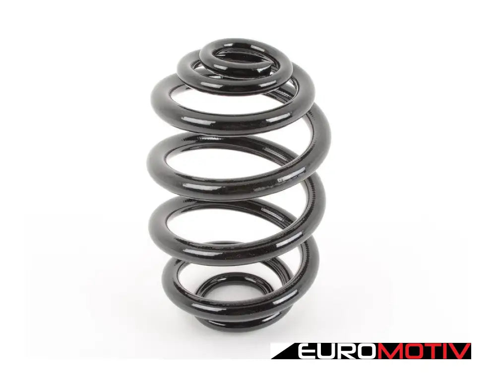 E46 Rear Coil Spring