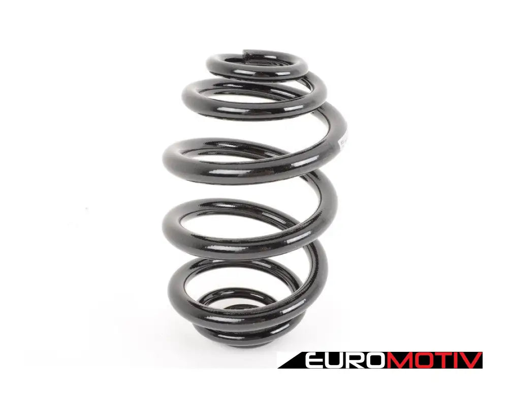 E46 Rear Coil Spring