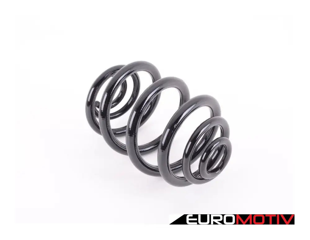 E46 Rear Coil Spring