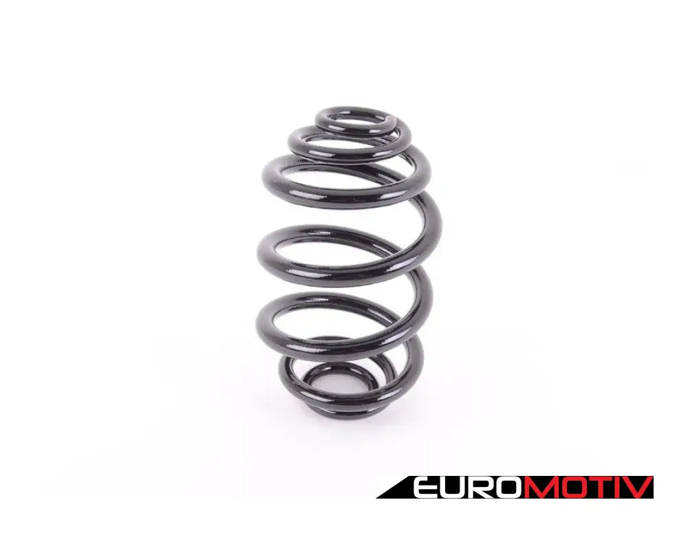 E46 Rear Coil Spring