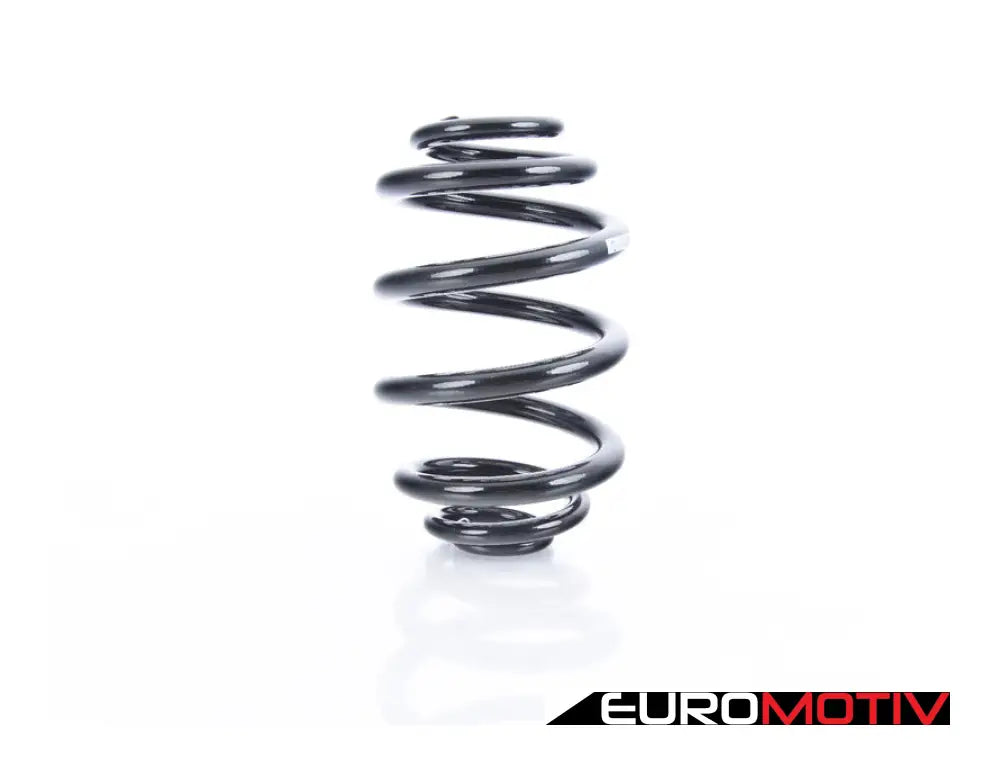 E46 Rear Coil Spring