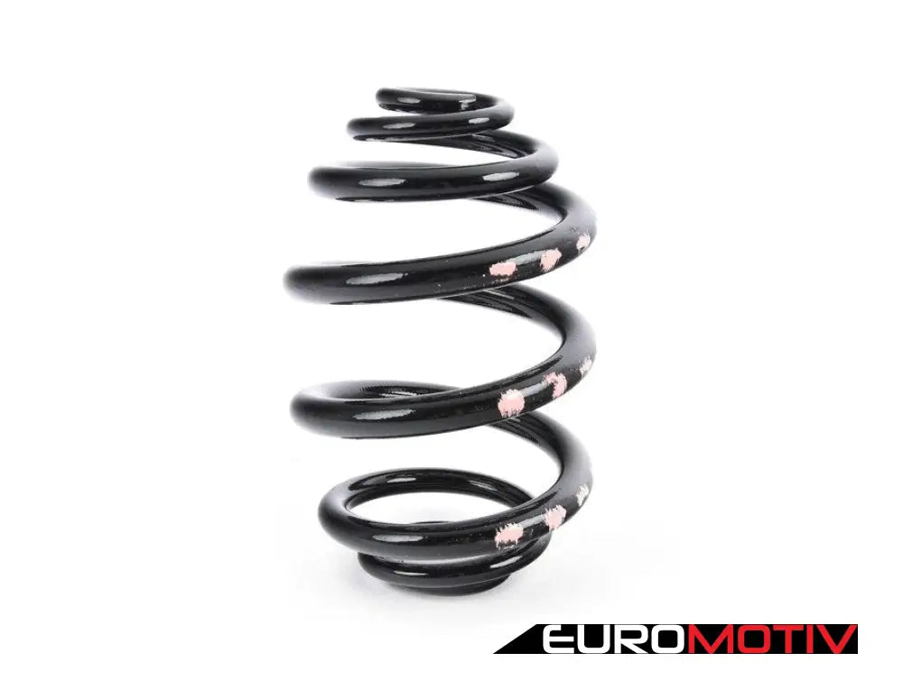 E46 Rear Coil Spring