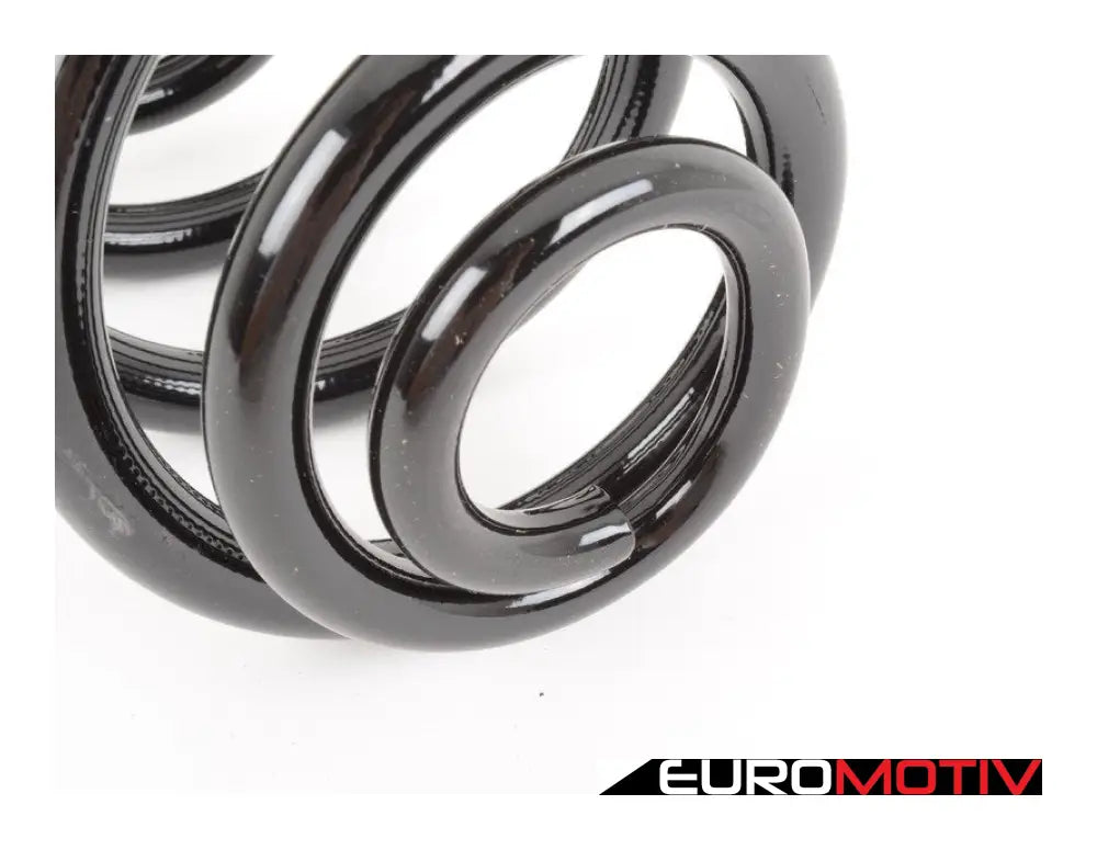 E46 Rear Coil Spring - Heavy Duty