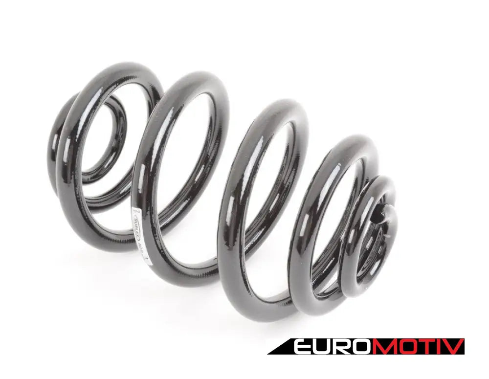 E46 Rear Coil Spring - Heavy Duty