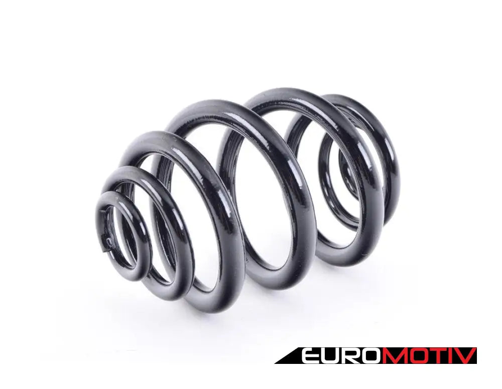 E46 Rear Coil Spring - Priced Each