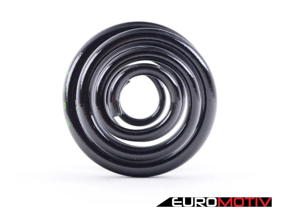 E46 Rear Coil Spring - Priced Each