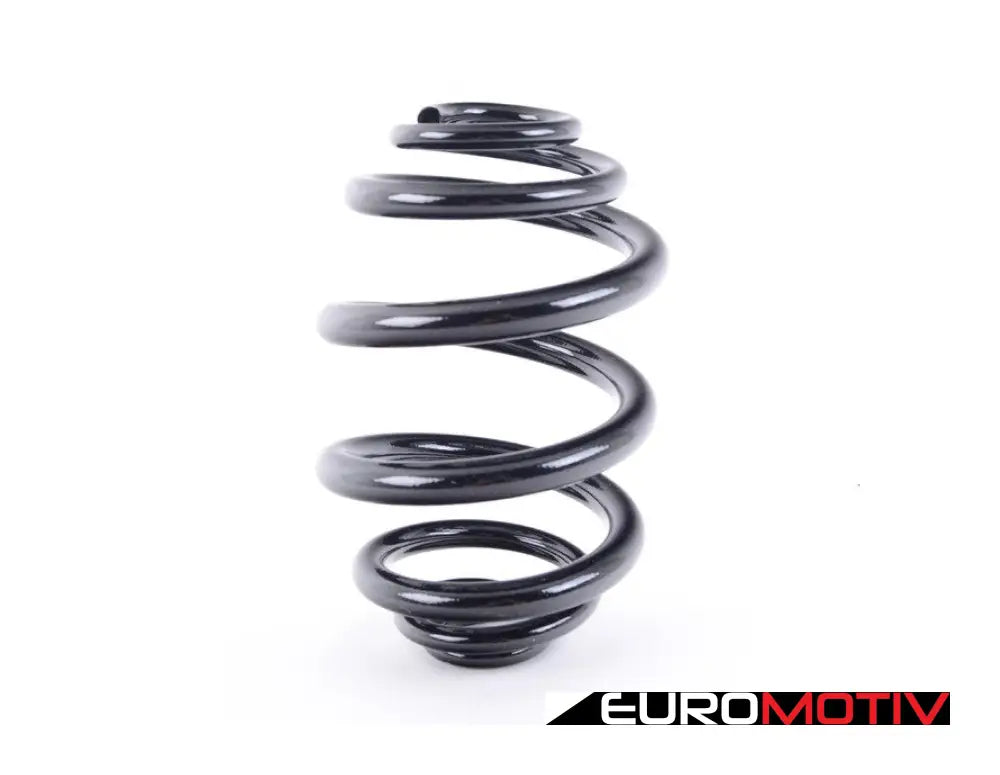 E46 Rear Coil Spring - Priced Each