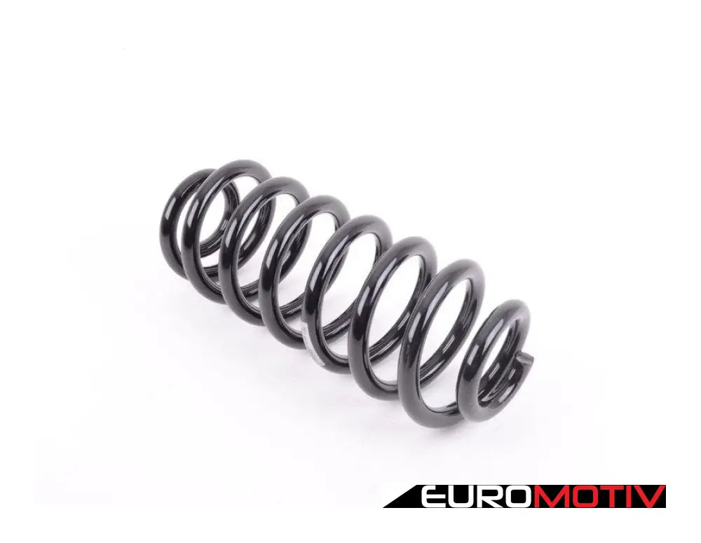 E53 Rear Coil Spring