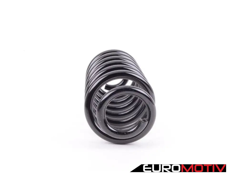 E53 Rear Coil Spring