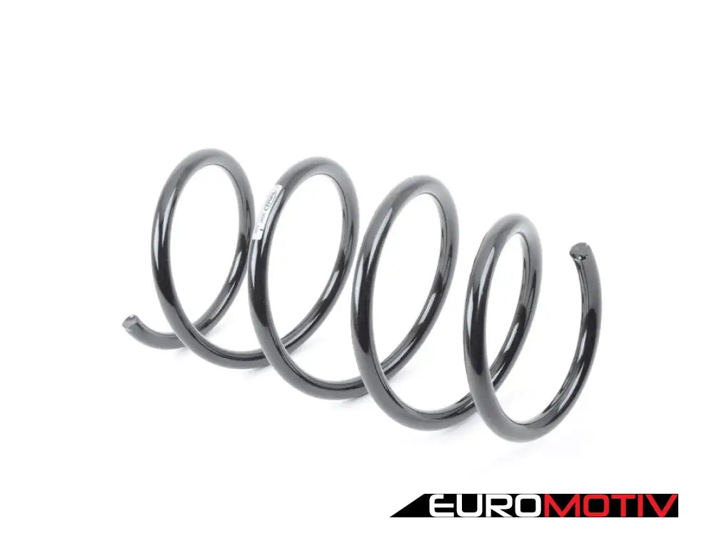 E83 Front Coil Spring - Heavy Duty