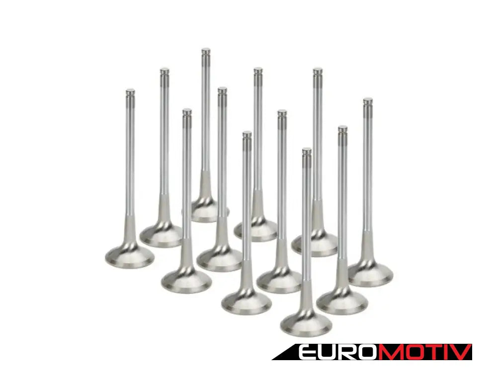 Exhaust Valve Set - Sodium Filled Oversize