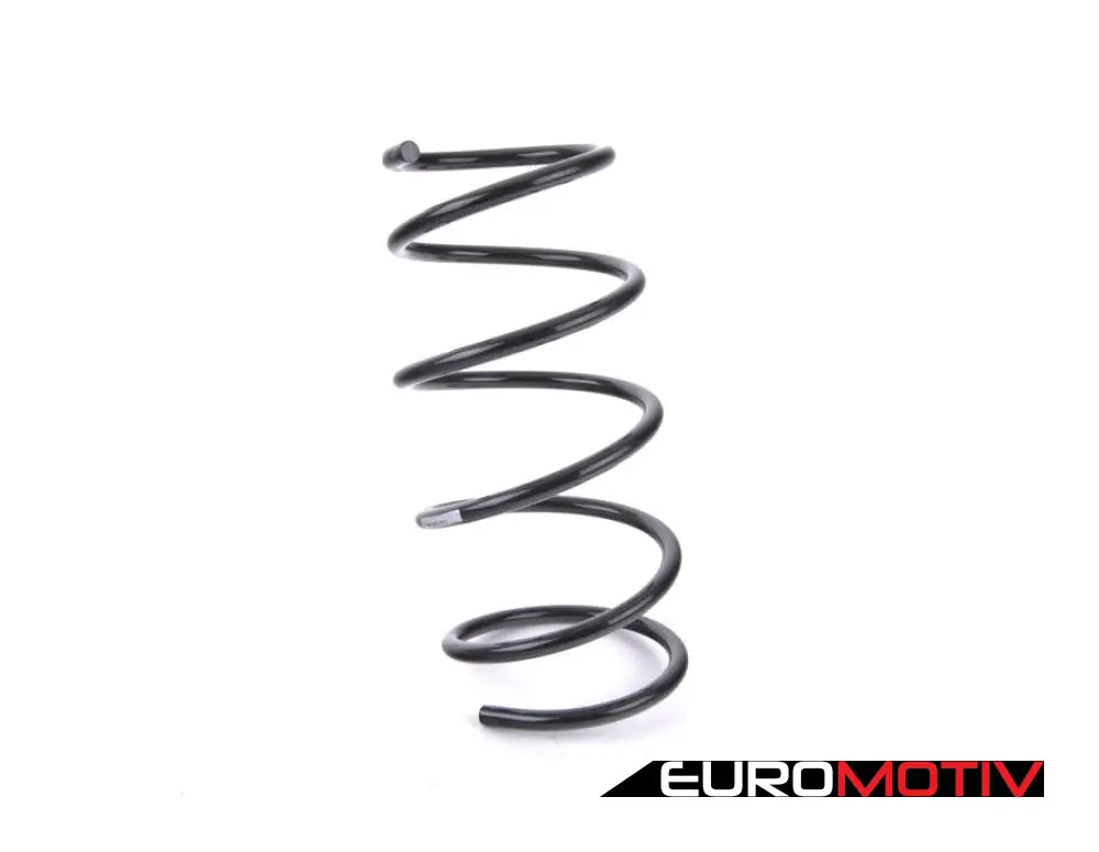 Front Coil Spring - Heavy Duty