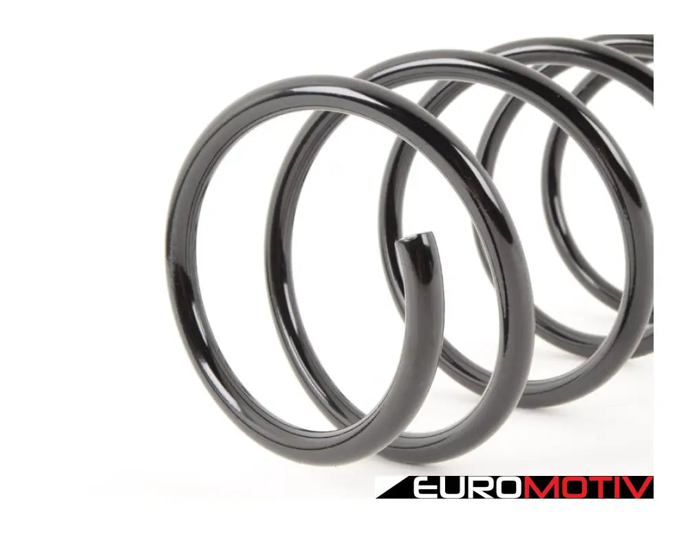 Front Coil Spring - Heavy Duty