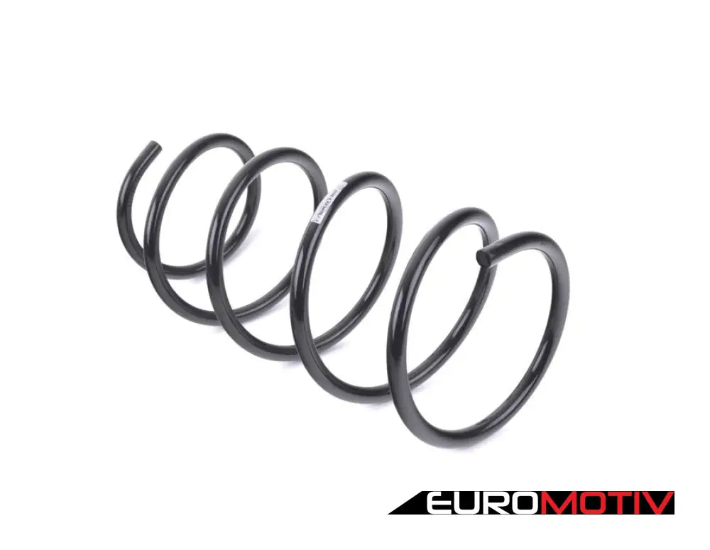 Front Coil Spring - Heavy Duty