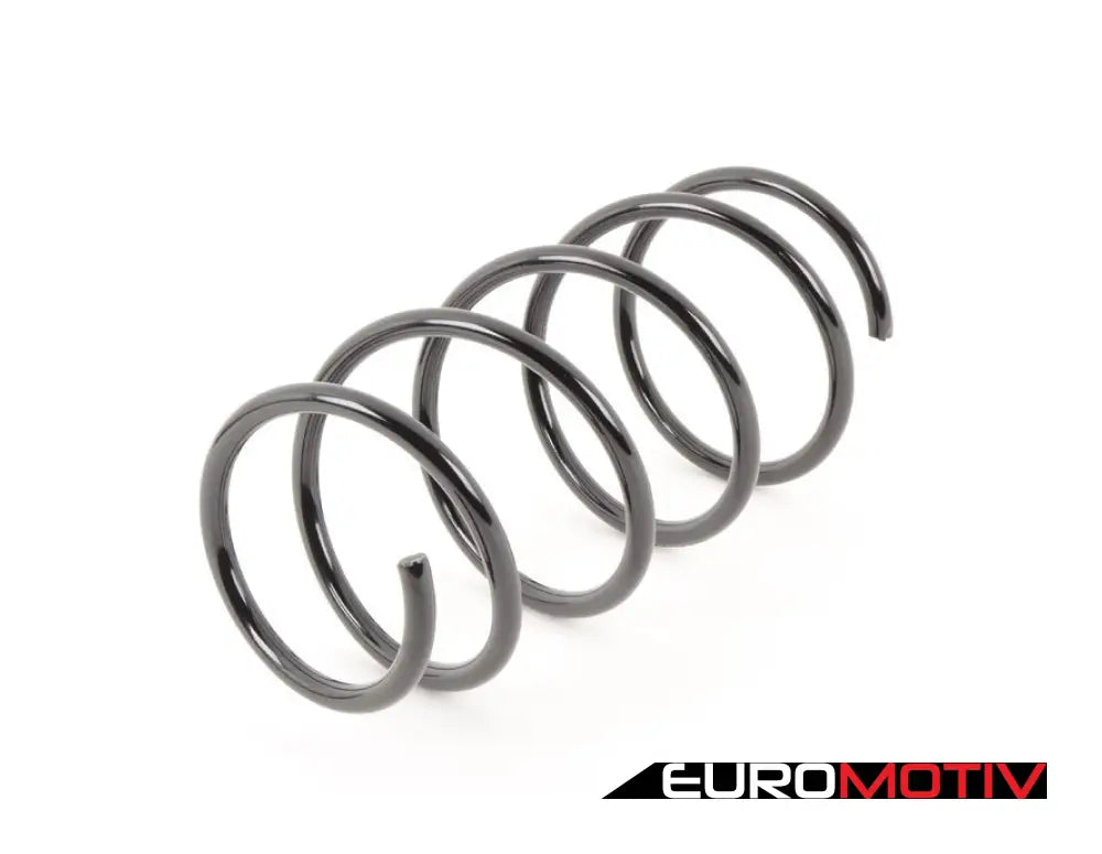 Front Coil Spring - Heavy Duty