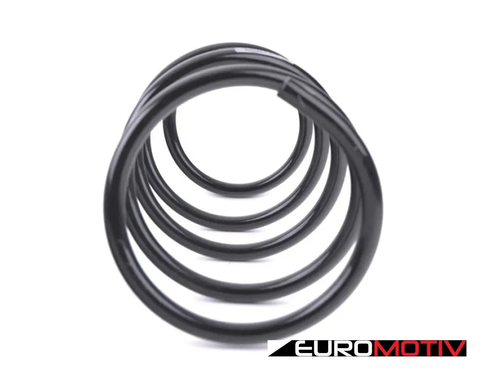 Front Coil Spring - Heavy Duty