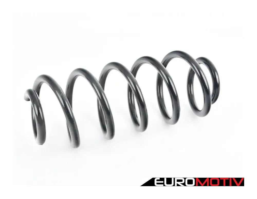 Front Coil Spring - Priced Each