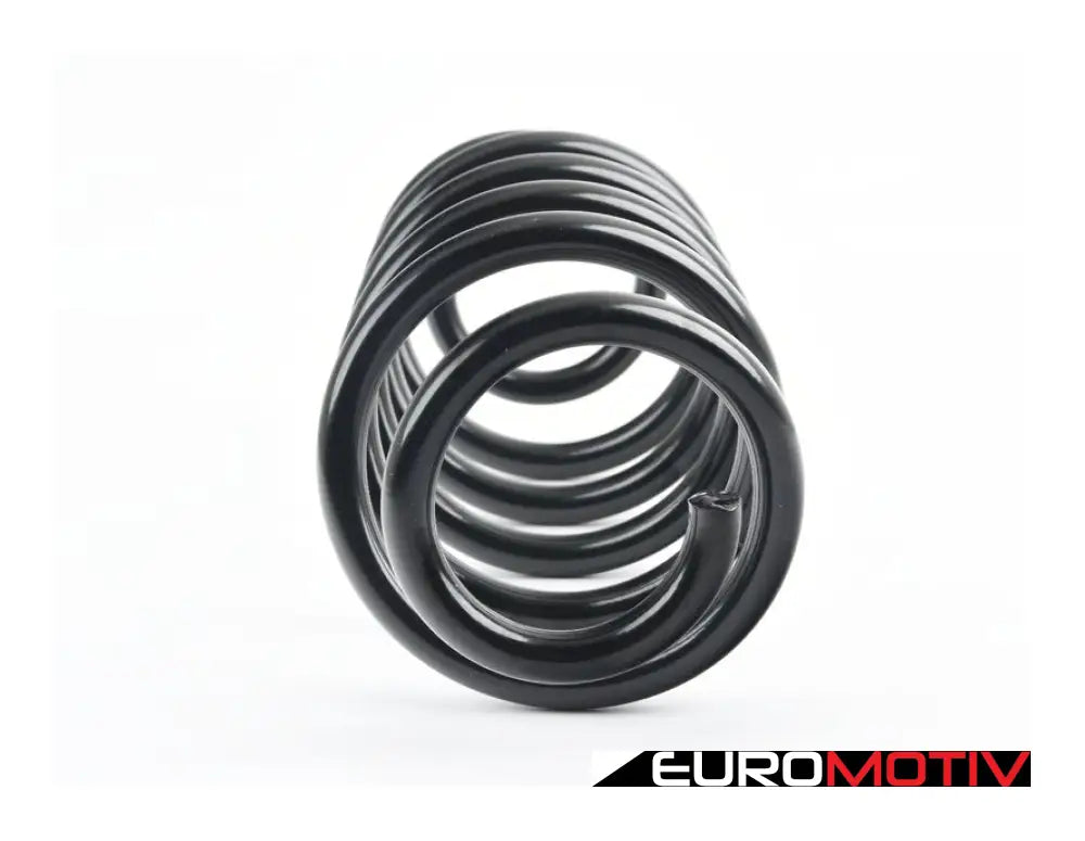 Front Coil Spring - Priced Each